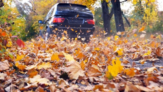 Driving in the Fall
